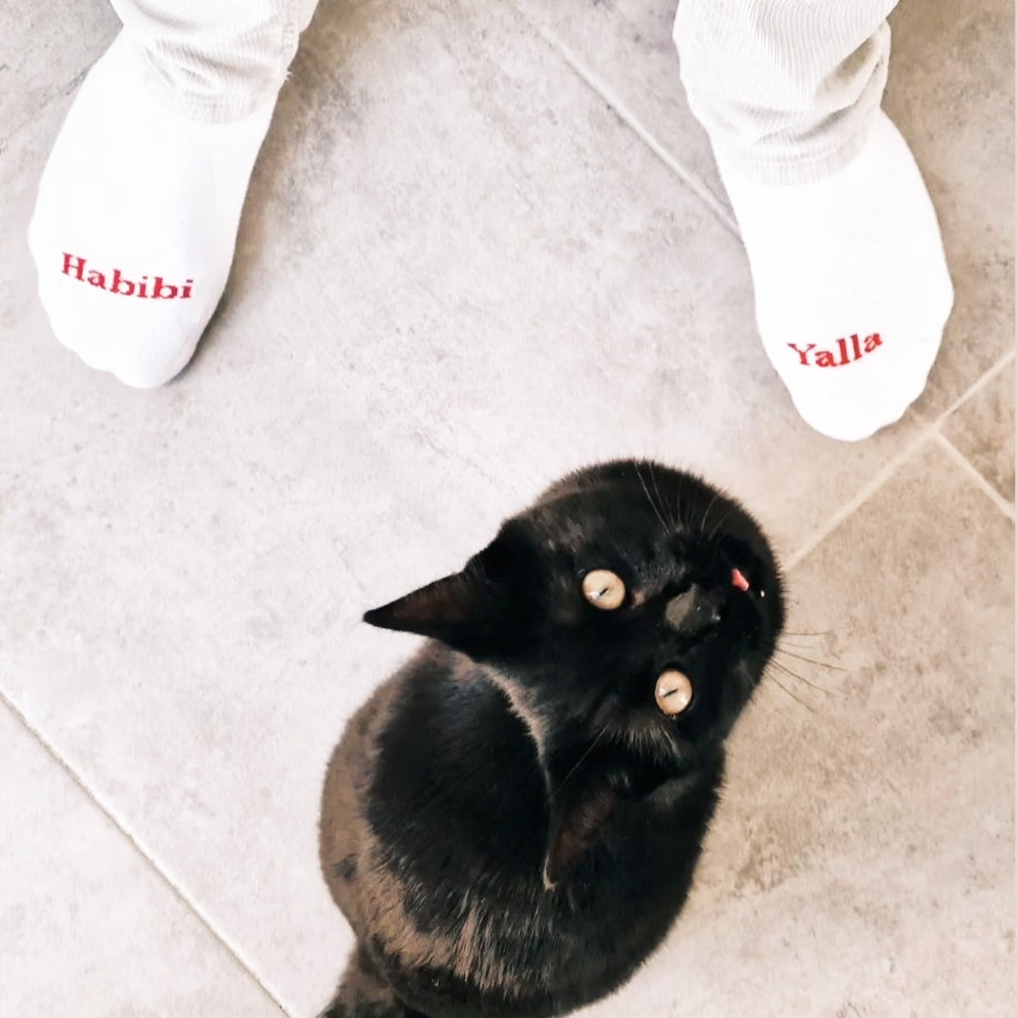 Socks Yalla habibi wom(men)